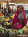 Vegetable Merchant in Ranthambhore 