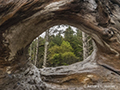 Ruby Beach
