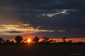 Duma Tau Sunrise
