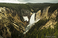 Grand Canyon of Yellowstone