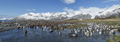 Gold Harbor Panorama