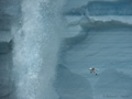 Ice Wall (Nordauslandet Ice Cap)